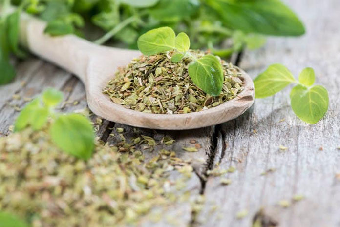 Oregano naturalnym źródłem zdrowia i urody