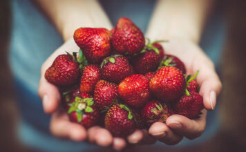 Owoce w codziennej diecie