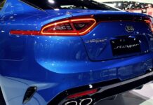 Ile kosztuje 1 Stinger?