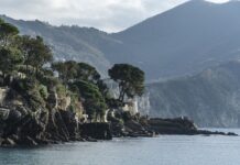 Ile kosztuje nałożenie niewidzialnej wycieraczki?