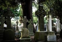 Co zamiast 205 55 r16?