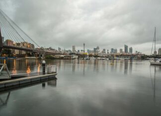Co najbardziej zakwasza glebę? Co najbardziej zakwasza glebę?