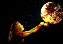 Czy warto kupić KIA Niro?