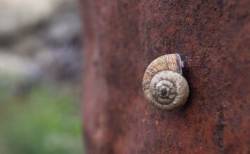 Jak działa tlenek ceru?