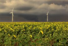 Czy kolejność opon ma znaczenie?