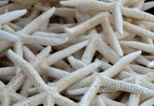 Jak wyczyścić kolektor wydechowy w motocyklu?