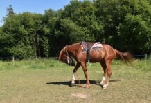 Gdzie nie montować klimatyzacji?