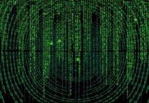 Skąd wzięła się nazwa majonez?