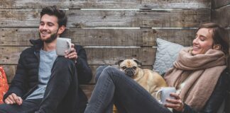 Kiedy pies nie może wskoczyć na kanapę?