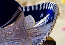 Jak zrobić majonez?