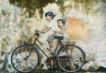 Co może robić technik weterynarii?