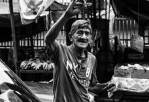 Jaka maszynka do strzyżenia psa yorka?