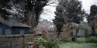 Porządkowanie ogrodu przed zimą