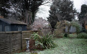 Porządkowanie ogrodu przed zimą